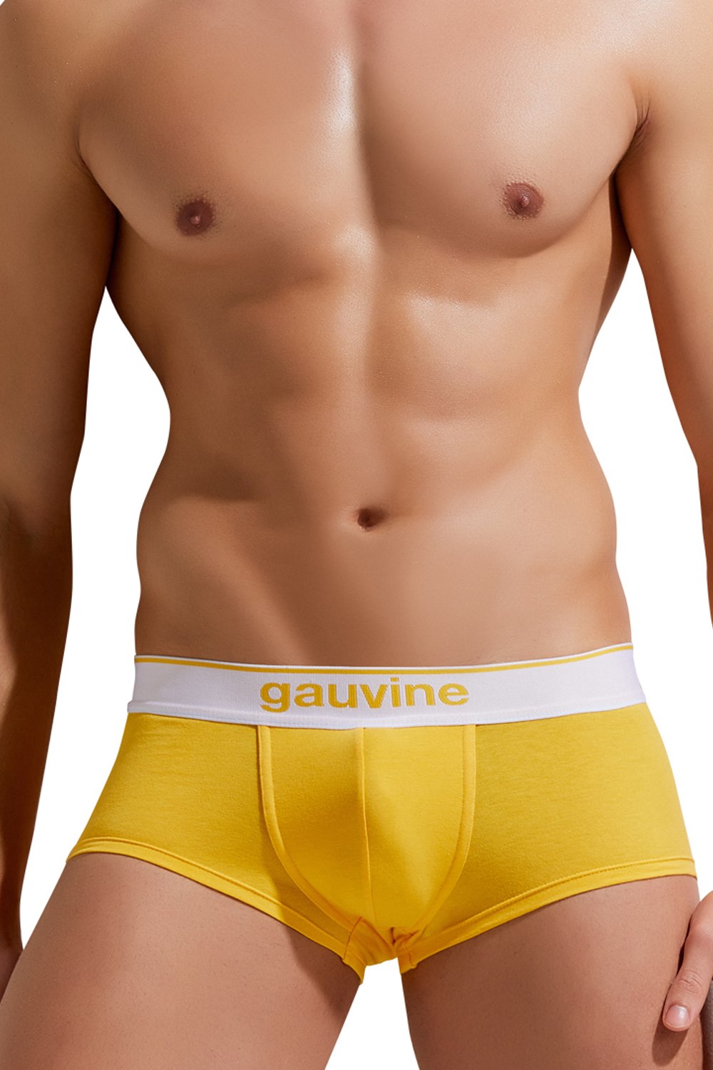 GAUVINE trunks at oboy.com