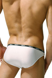 OBOY DELICADO brief at oboy.com