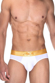 OBOY GOLD brief at oboy.com