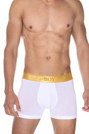 OBOY GOLD trunks at oboy.com