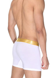 OBOY GOLD trunks at oboy.com