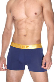 OBOY GOLD trunks at oboy.com