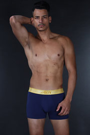 OBOY GOLD trunks at oboy.com