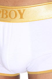 OBOY GOLD sprinter trunks at oboy.com