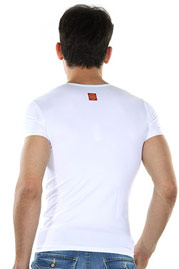 NILS BOHNER NB 101 r-neck shirt at oboy.com