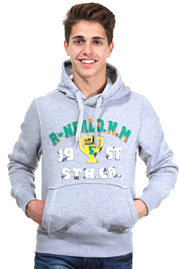 R-NEAL hoodie sweater regular fit at oboy.com