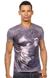 DARKZONE t-shirt r-neck slim fit at oboy.com