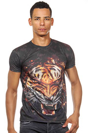 DARKZONE t-shirt r-neck slim fit at oboy.com