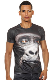 DARKZONE t-shirt r-neck slim fit at oboy.com