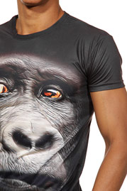 DARKZONE t-shirt r-neck slim fit at oboy.com