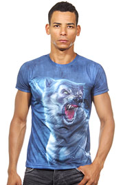 DARKZONE t-shirt r-neck slim fit at oboy.com