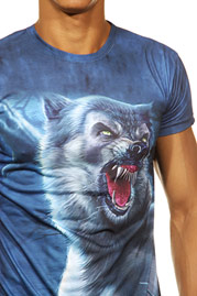 DARKZONE t-shirt r-neck slim fit at oboy.com