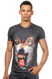 DARKZONE t-shirt r-neck slim fit at oboy.com