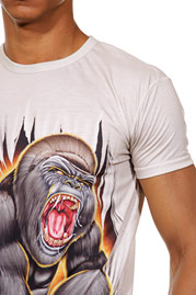 DARKZONE t-shirt r-neck slim fit at oboy.com