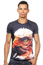 DARKZONE t-shirt r-neck slim fit at oboy.com