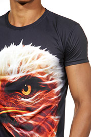 DARKZONE t-shirt r-neck slim fit at oboy.com