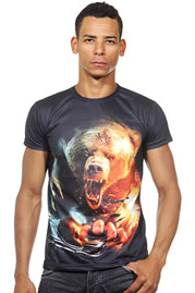 DARKZONE t-shirt r-neck slim fit at oboy.com