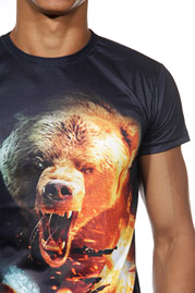 DARKZONE t-shirt r-neck slim fit at oboy.com