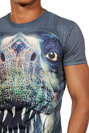 DARKZONE t-shirt r-neck slim fit at oboy.com