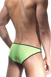 COSMOS COLORS brief at oboy.com