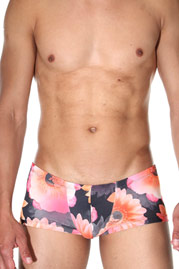 COSMOS COLORS trunks at oboy.com