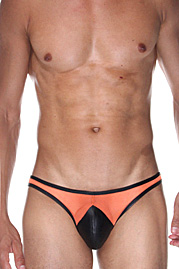 COSMOS COLORS brief at oboy.com