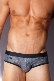 ALEXANDER COBB beach brief at oboy.com