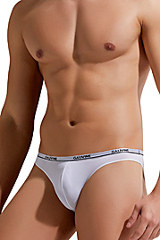 GAUVINE brief at oboy.com