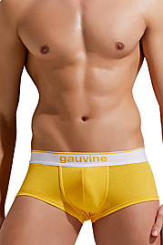 GAUVINE trunks at oboy.com