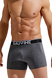 GAUVINE trunks at oboy.com