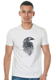 FIOCEO T-shirt at oboy.com