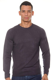 CAZADOR  roundneck jumper at oboy.com